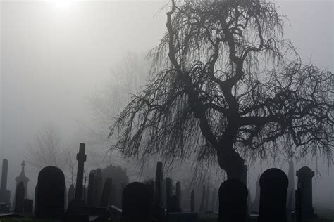 graveyard | Tumblr | Old cemeteries, Cemetery, Graveyard