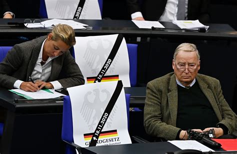 Germany's far-right AfD party apologizes for 'uncivilized' behavior | Daily Sabah