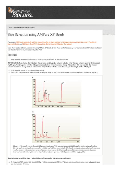 Size Selection using AMPure XP Beads - Accounting - Studocu