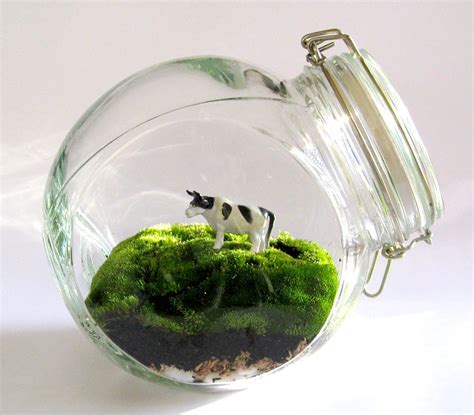 Terrarium Supplies - Reptile Tanks For SaleReptile Tanks For Sale