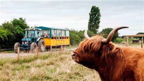 National Forest Adventure Farm - a Great Day Out! - YouTube