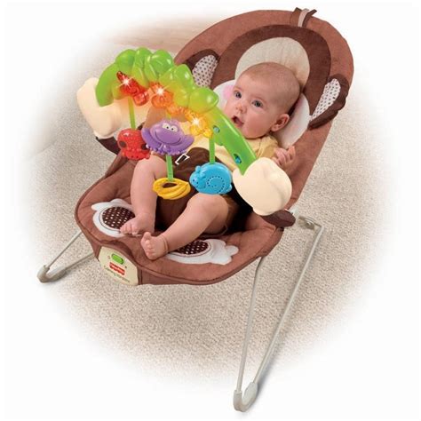 A Secret World for All : Fisher-Price Deluxe Bouncer