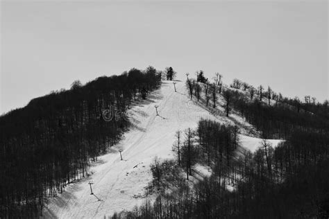 Snowy landscape with trees stock image. Image of telpher - 176435117