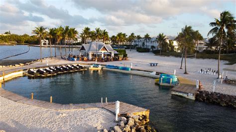 Dining in the Florida Keys | Tranquility Bay Resort