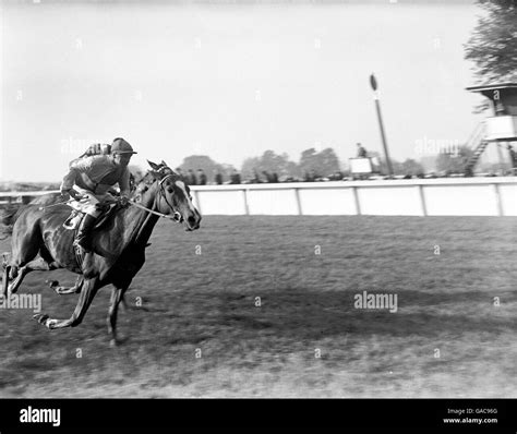 Horse Racing - Windsor Races Stock Photo: 109679432 - Alamy