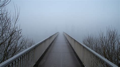 Bridge Fog Web - Free photo on Pixabay - Pixabay