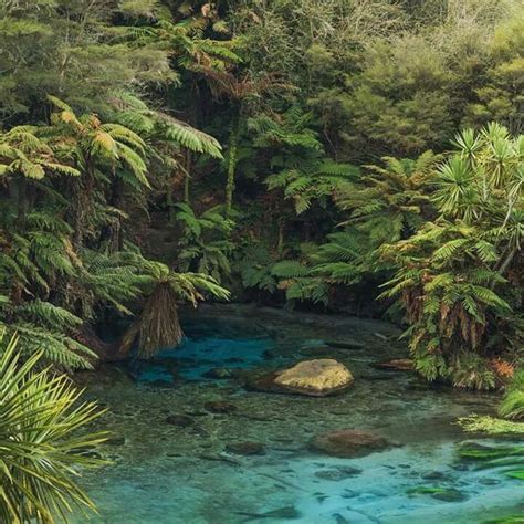 Blue Springs Putaruru, New Zealand | 旅行の写真, 自然な写真, 旅