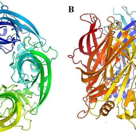 Structure and function of the nicotinic acetylcholine receptor. ( A ...