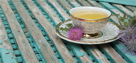 Benefits of Milk Thistle Tea — Massage Therapy NYC | CityTouch | Chelsea, NY 10001