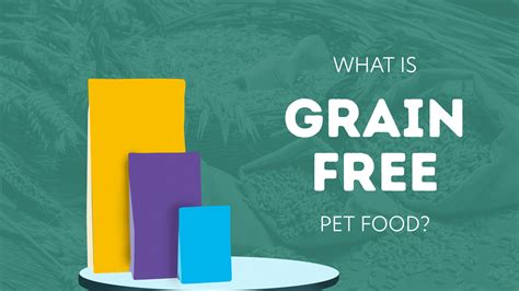 What is Grain Free pet food?