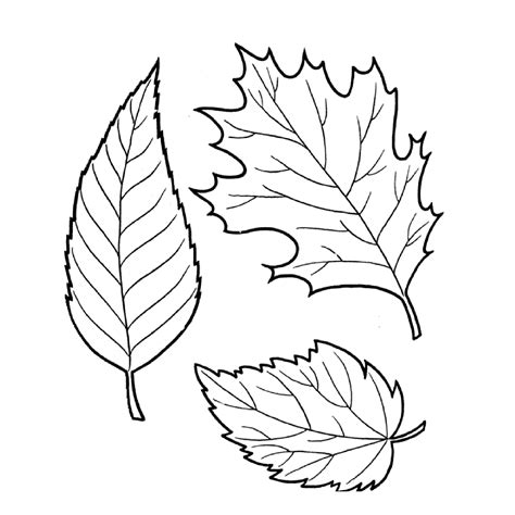 Free Printable Leaves Colouring Pages - vrogue.co