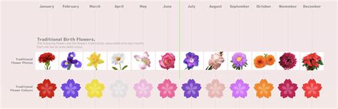 The Most Popular Flower Colour Choices | Serenata Flowers