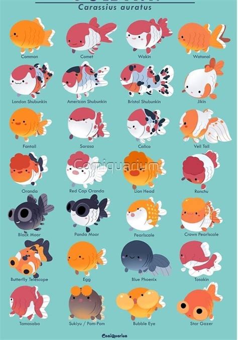 Goldfish Breeding, Character Art, Character Design, Cute Reptiles, Koi Fish Pond, Fanart, Cute ...