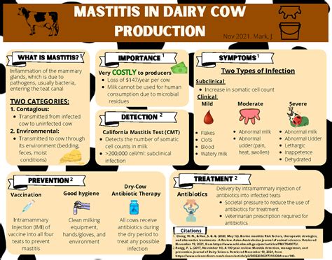 Infographic mastitis - Mastitis in Dairy Cow Production Prevention treatment Dry-Cow Antibiotic ...