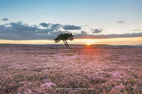 Guest Blog: My Top 10 Northern England landscape views & walks | GO Outdoors Blog