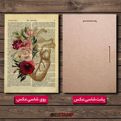 تابلو آناتومی قلب کد 39 | آی بی استمپ