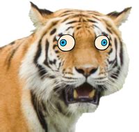 Giant Realistic Flying Tiger | Uncle Grandpa Wiki | Fandom powered by Wikia