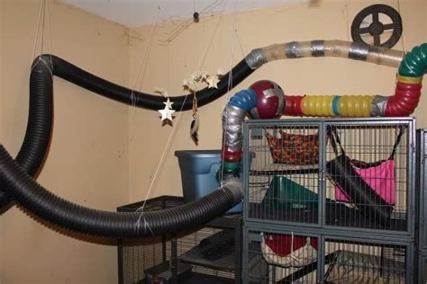 home+made+ferret+toys | jealous of all these DIY ferret cages/toys. I ...