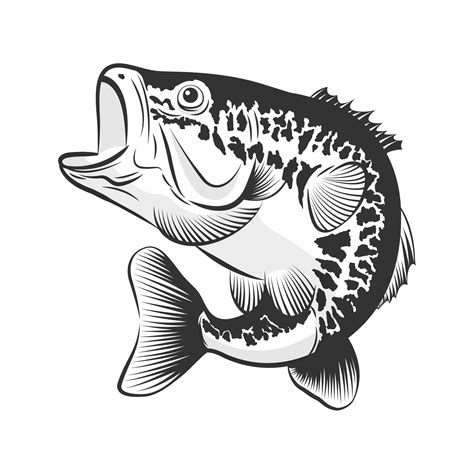 Free 89 Largemouth Bass Svg Free SVG PNG EPS DXF File