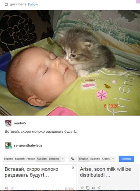 Arise Human! | Russian Cat Translations | Know Your Meme