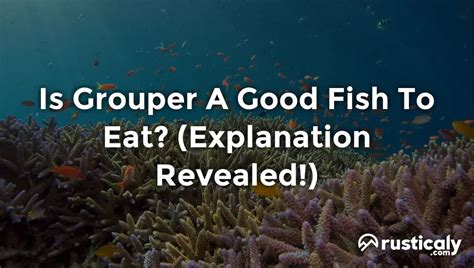 Is Grouper A Good Fish To Eat? (Explanation Inside!)