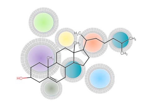 Lipidomics Analysis - The Metabolomics Innovation Centre