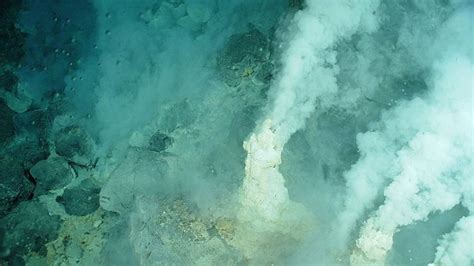 Deep-Sea Hydrothermal Vents Play A Vital Role In Maintaining Global Climate | IFLScience