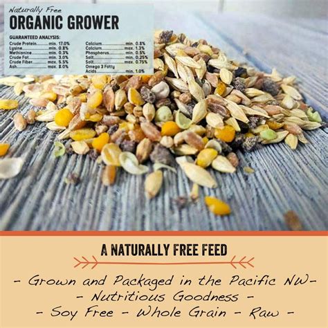 Scratch and Peck Feeds® Naturally Free Organic Grower Feed - My Favorite Chicken