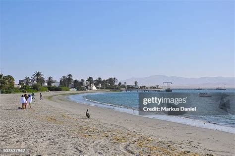 331 Paracas District Stock Photos, High-Res Pictures, and Images ...