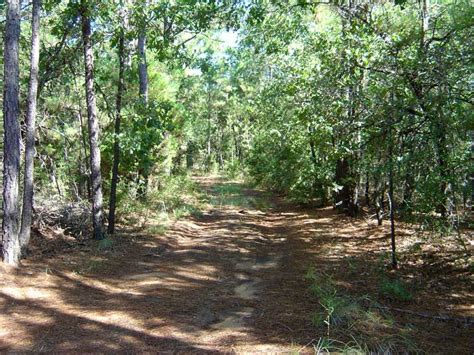 Greenstone Guide to Austin & The Texas Hill Country: Hiking Trails ...