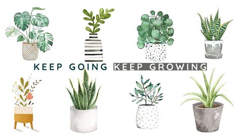 Discover 800+ Desktop backgrounds plants for Your Love of Green on Screens