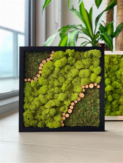 Moss Wall Art Framed Plant Wall Preserved Moss Art Home | Etsy