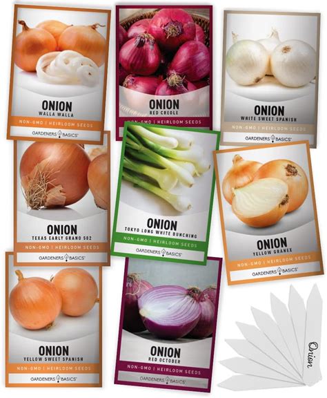 Amazon.com : Gardeners Basics, Onion Seeds for Planting - 8 Long and Short Day Varieties Yellow ...