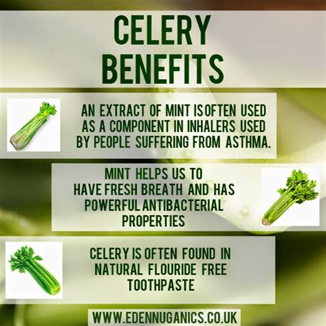 Eden Nuganics Blog: Health benefits of celery