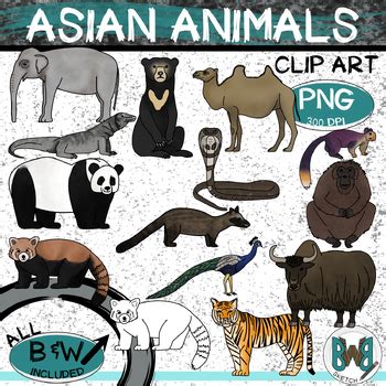 Asian Animals Clip Art Wild Animals Clipart by Backwoods Barn Sketch