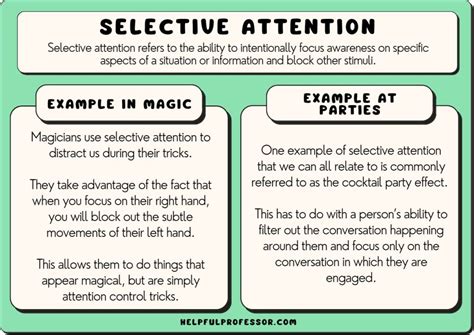 18 Selective Attention Examples (2024)