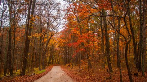 Fall colors in Indiana: When and where to experience the best foliage