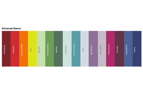 Men’s Color Palette: Everything You Need To Know