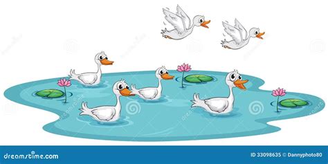 A Group Of Ducks At The Pond Royalty Free Stock Photo - Image: 33098635