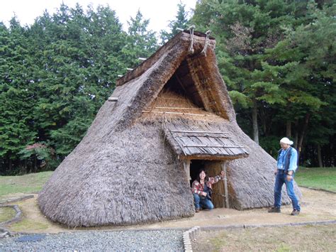 House on stilts, Ancient history, Prehistory