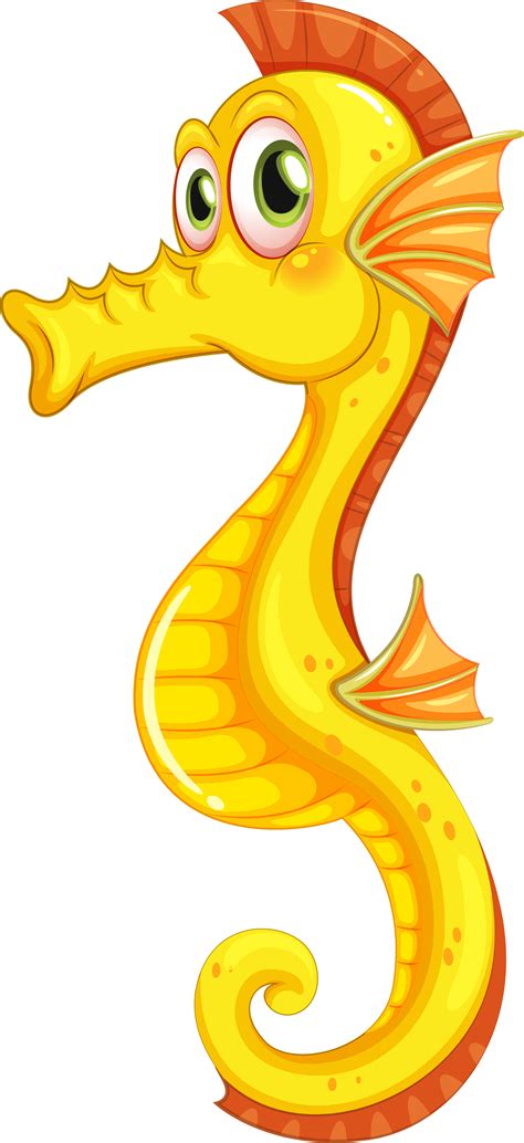 Seahorse PNG