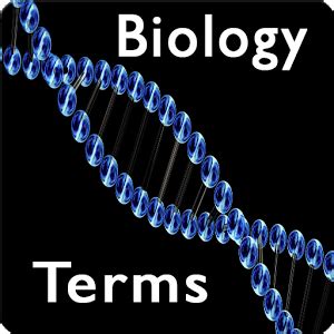 List of Important Biology Terms and Definitions - VidyaGyaan