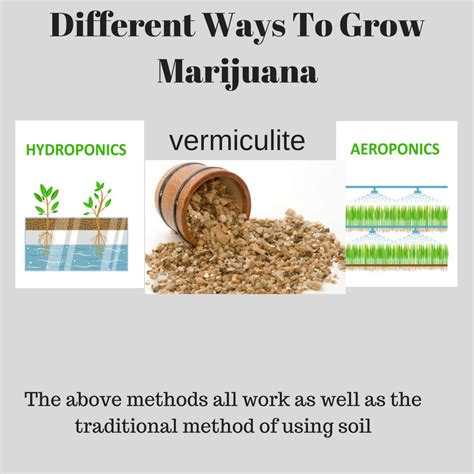 Different Ways To Grow Marijuana | Tips On Growing Marijuana