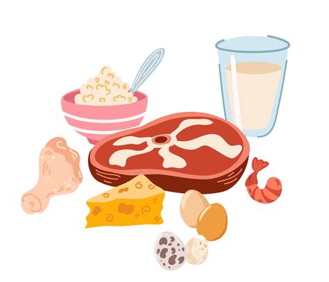 Protein Food Cartoon