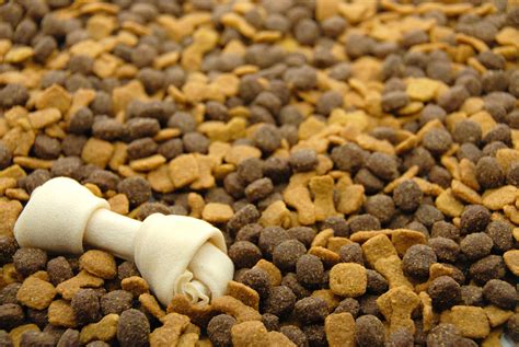 Pet Food Settlement | Doggies.com Dog Blog