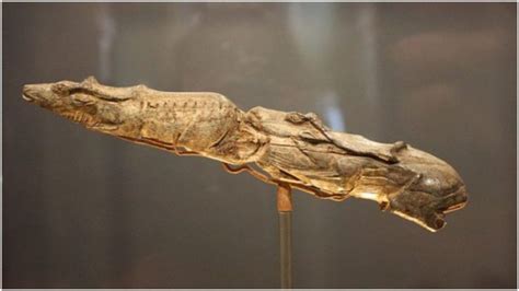 The Swimming Reindeer sculpture of 13,000 years ago shows imagination ...