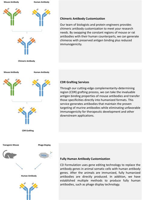 Antibody Humanization Service - CD Formulation