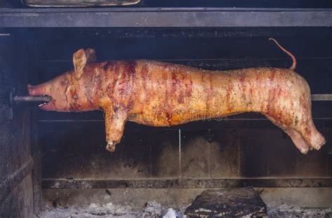 Roast Suckling Pig in the Oven Stock Image - Image of restaurant ...