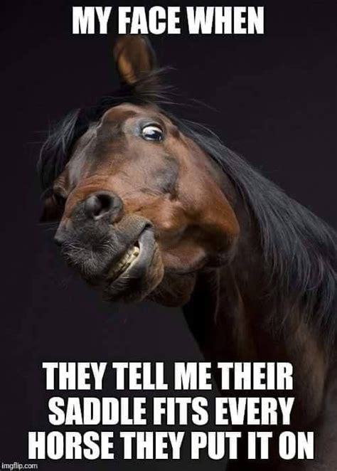 Saddle Fit All.... | Funny horse memes, Horse jokes, Funny horses