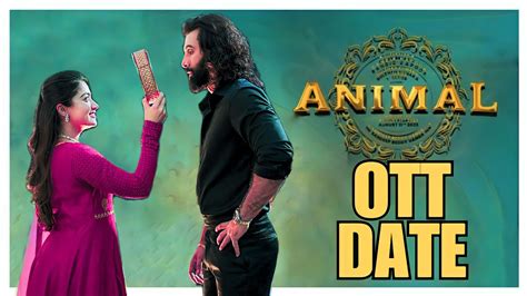 Animal Movie Ott Release Date || Animal Movie Digital Release Date || - YouTube